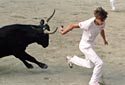 Bull racing, The Camargue (2000)